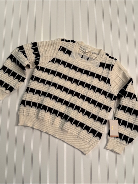 Cyrus Sweaters - NWT Cyrus Chunky Textured Windowpane Crewneck Sweater XL Cream Black